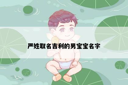 严姓取名吉利的男宝宝名字